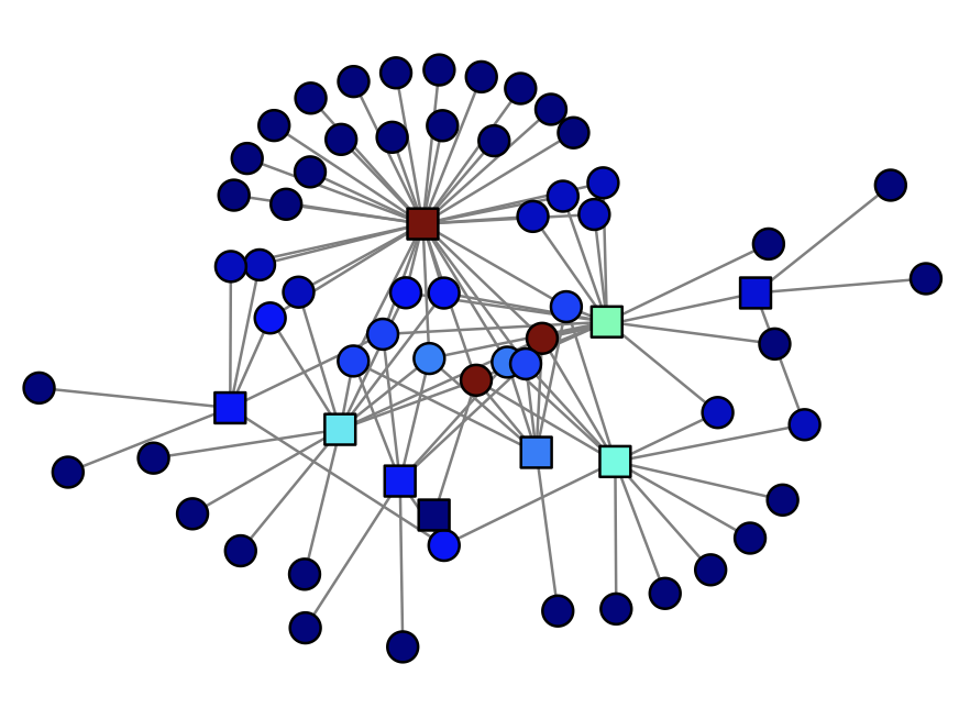 Star-like network around a central hub