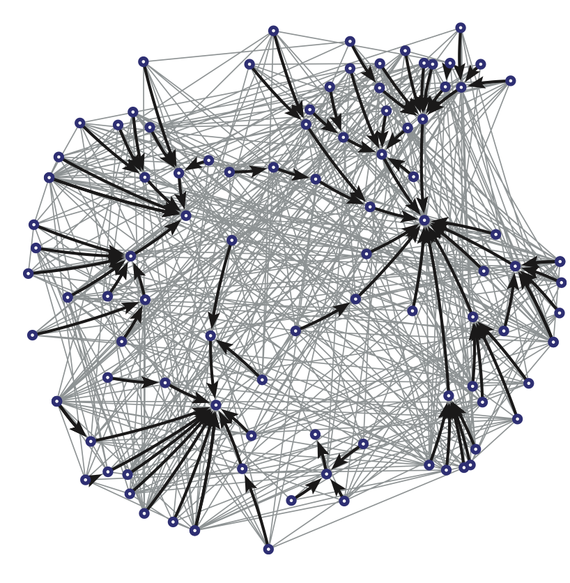 Directed network with hub nodes