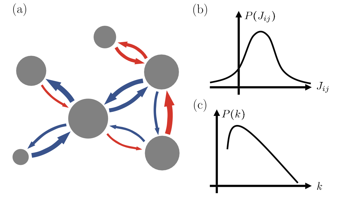 Ecological network with positive and negative interactions, plus the distributions of interaction strength and degree